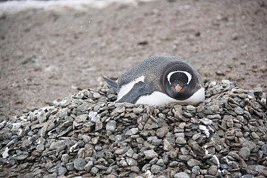 《死亡岛2》游戏总监：新技能卡片系统比技能树更好